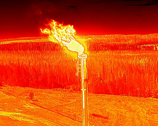Thermal Image Analysis