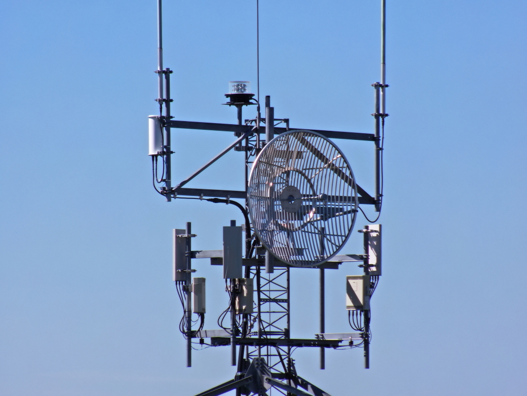 Tower Inspection